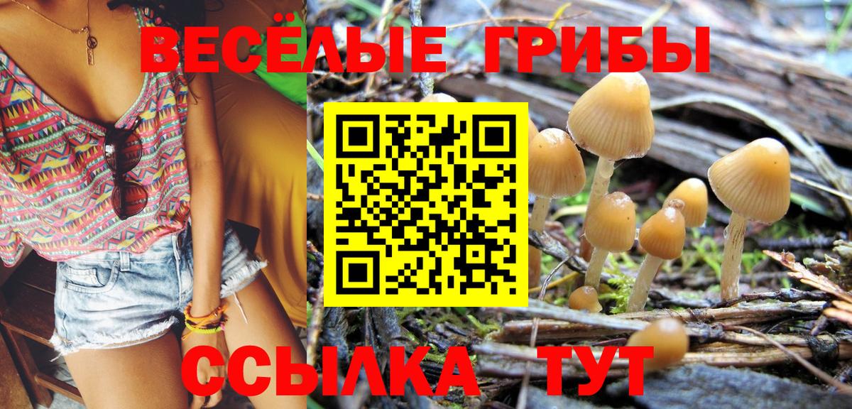 Псилоцибиновые грибы MAGIC MUSHROOMS Алексин